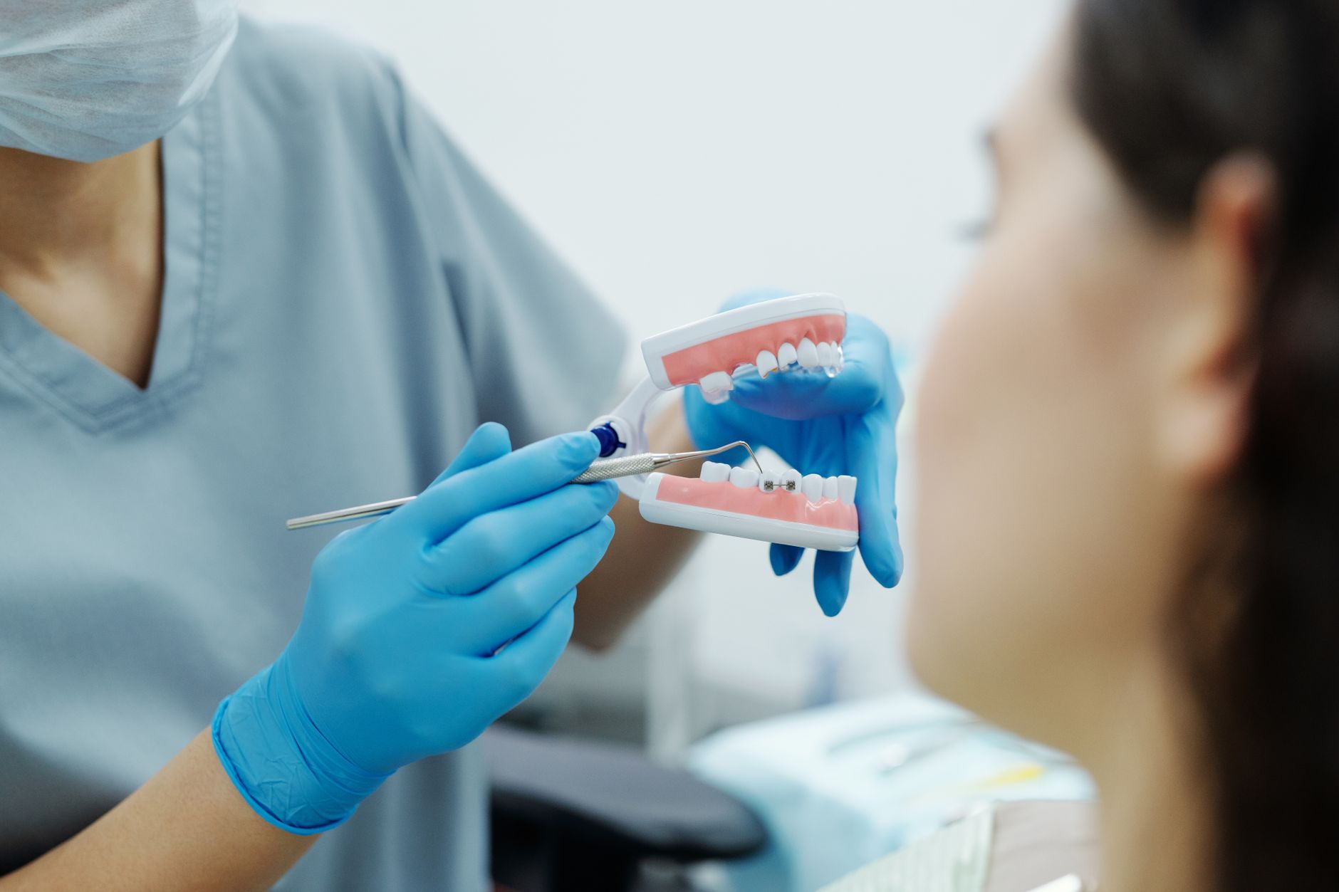 A dentist in gloves demonstrates dental care using a teeth model