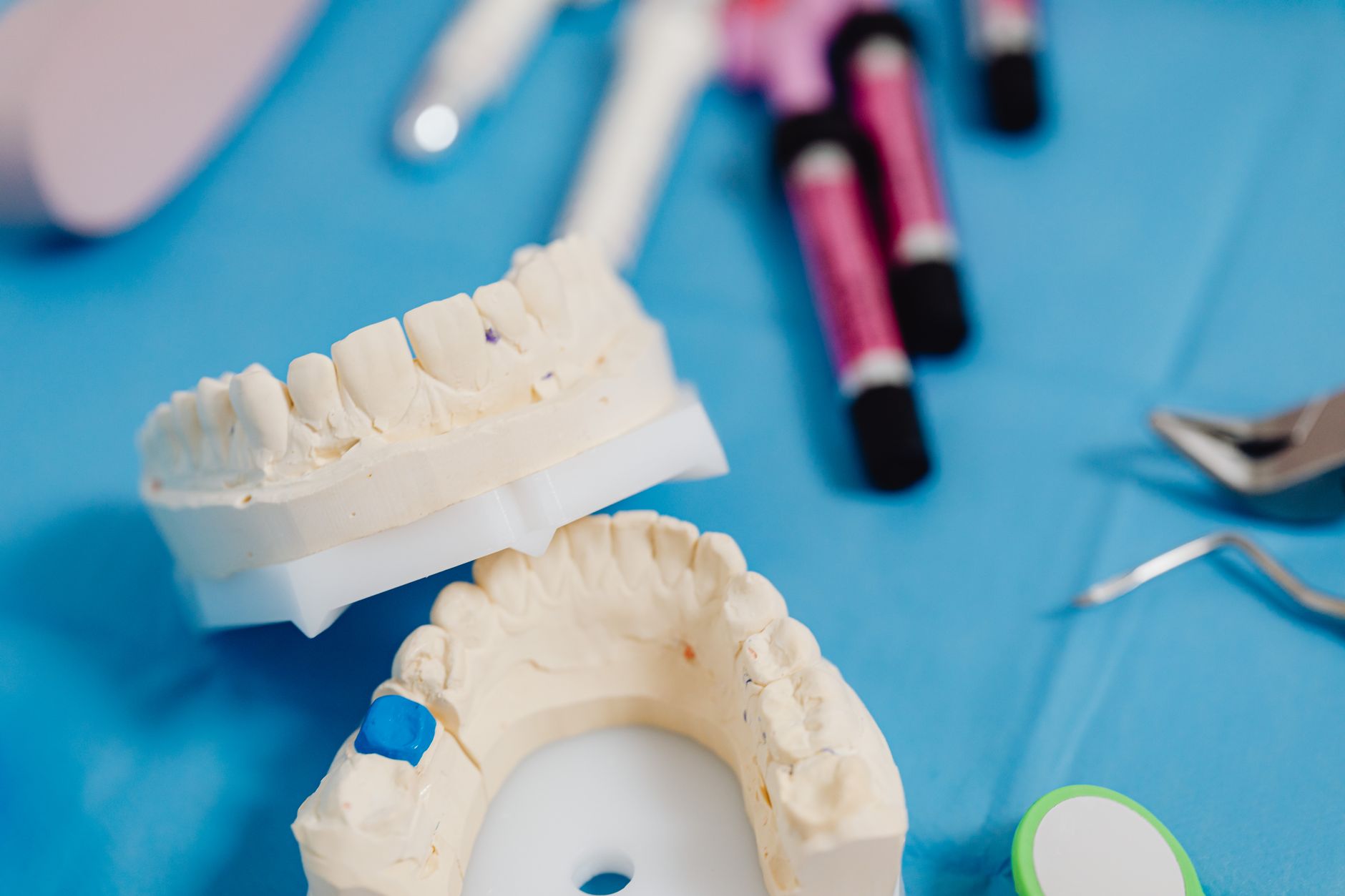 Dental jaw model with instruments used to explain tooth anatomy